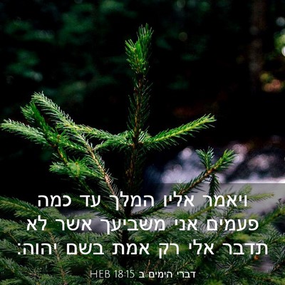 Picture 03 - דברי הימים ב 18:15 HEB - ויאמר אליו המלך עד כמה - Bible Verse Picture