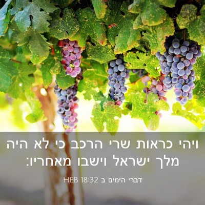 Picture 03 - דברי הימים ב 18:32 HEB - ויהי כראות שרי הרכב כי לא - Bible Verse Picture