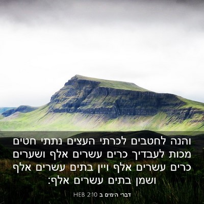 Picture 03 - דברי הימים ב 2:10 HEB - והנה לחטבים לכרתי העצים - Bible Verse Picture