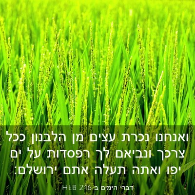 Picture 03 - דברי הימים ב 2:16 HEB - ואנחנו נכרת עצים מן הלבנון - Bible Verse Picture