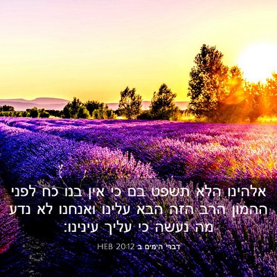 Picture 03 - דברי הימים ב 20:12 HEB - אלהינו הלא תשפט בם כי אין - Bible Verse Picture