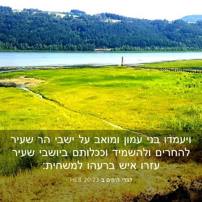Picture 03 - דברי הימים ב 20:23 HEB - ויעמדו בני עמון ומואב על - Bible Verse Picture