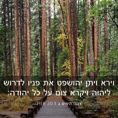 Picture 03 - דברי הימים ב 20:3 HEB - וירא ויתן יהושפט את פניו - Bible Verse Picture