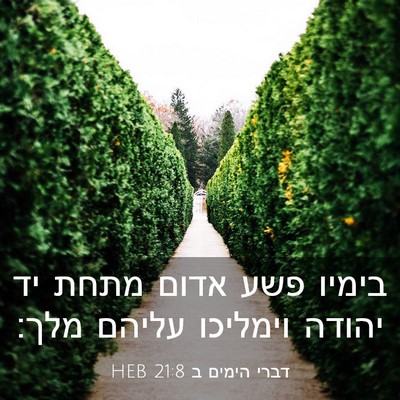 Picture 03 - דברי הימים ב 21:8 HEB - בימיו פשע אדום מתחת יד - Bible Verse Picture