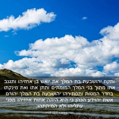 Picture 03 - דברי הימים ב 22:11 HEB - ותקח יהושבעת בת המלך את - Bible Verse Picture
