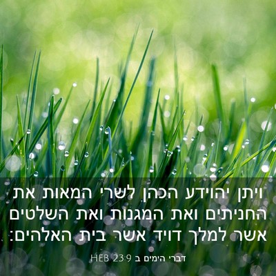 Picture 03 - דברי הימים ב 23:9 HEB - ויתן יהוידע הכהן לשרי - Bible Verse Picture