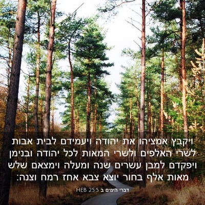 Picture 03 - דברי הימים ב 25:5 HEB - ויקבץ אמציהו את יהודה - Bible Verse Picture