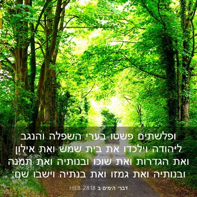 Picture 03 - דברי הימים ב 28:18 HEB - ופלשתים פשטו בערי השפלה - Bible Verse Picture