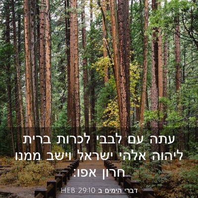 Picture 03 - דברי הימים ב 29:10 HEB - עתה עם לבבי לכרות ברית - Bible Verse Picture