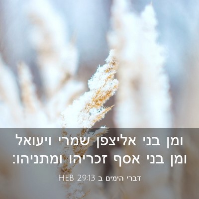 Picture 03 - דברי הימים ב 29:13 HEB - ומן בני אליצפן שמרי ויעואל - Bible Verse Picture