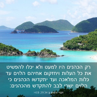 Picture 03 - דברי הימים ב 29:34 HEB - רק הכהנים היו למעט ולא יכלו - Bible Verse Picture
