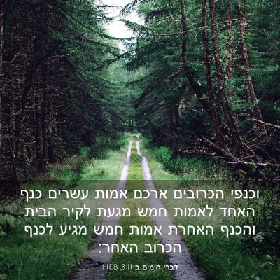 Picture 03 - דברי הימים ב 3:11 HEB - וכנפי הכרובים ארכם אמות - Bible Verse Picture