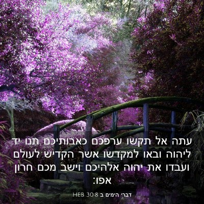 Picture 03 - דברי הימים ב 30:8 HEB - עתה אל תקשו ערפכם כאבותיכם - Bible Verse Picture