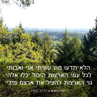 Picture 03 - דברי הימים ב 32:13 HEB - הלא תדעו מה עשיתי אני - Bible Verse Picture