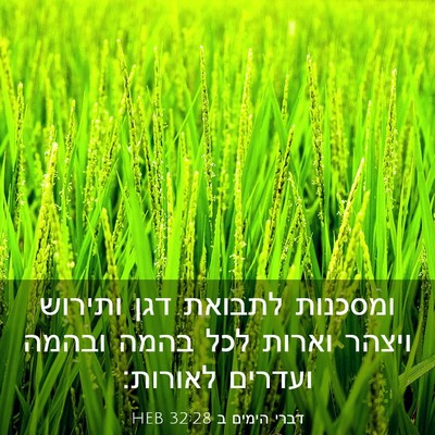 Picture 03 - דברי הימים ב 32:28 HEB - ומסכנות לתבואת דגן ותירוש - Bible Verse Picture