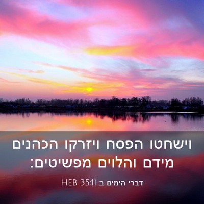 Picture 03 - דברי הימים ב 35:11 HEB - וישחטו הפסח ויזרקו הכהנים - Bible Verse Picture