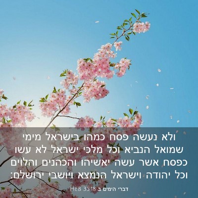 Picture 03 - דברי הימים ב 35:18 HEB - ולא נעשה פסח כמהו בישראל - Bible Verse Picture