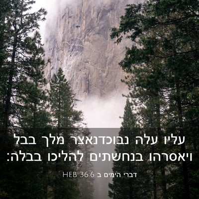 Picture 03 - דברי הימים ב 36:6 HEB - עליו עלה נבוכדנאצר מלך בבל - Bible Verse Picture
