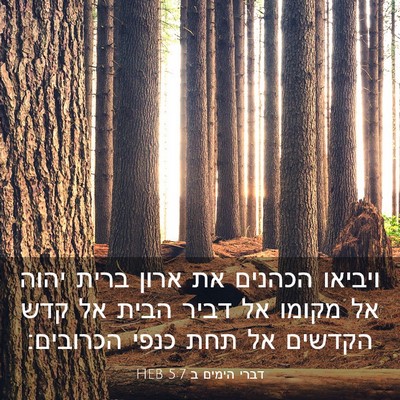 Picture 03 - דברי הימים ב 5:7 HEB - ויביאו הכהנים את ארון ברית - Bible Verse Picture