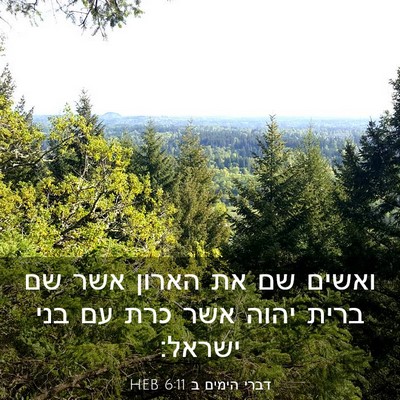 Picture 03 - דברי הימים ב 6:11 HEB - ואשים שם את הארון אשר שם - Bible Verse Picture