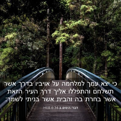 Picture 03 - דברי הימים ב 6:34 HEB - כי יצא עמך למלחמה על אויביו - Bible Verse Picture