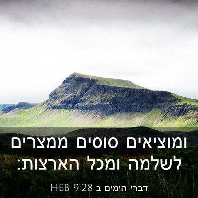 Picture 03 - דברי הימים ב 9:28 HEB - ומוציאים סוסים ממצרים - Bible Verse Picture