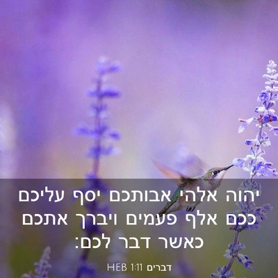 Picture 03 - דברים 1:11 HEB - יהוה אלהי אבותכם יסף עליכם - Bible Verse Picture