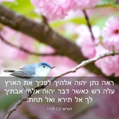 Picture 03 - דברים 1:21 HEB - ראה נתן יהוה אלהיך לפניך את - Bible Verse Picture