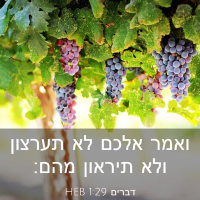Picture 03 - דברים 1:29 HEB - ואמר אלכם לא תערצון ולא - Bible Verse Picture