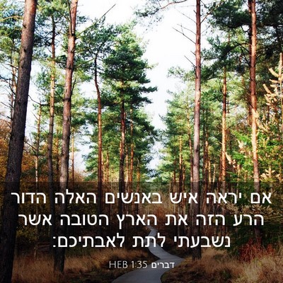 Picture 03 - דברים 1:35 HEB - אם יראה איש באנשים האלה - Bible Verse Picture