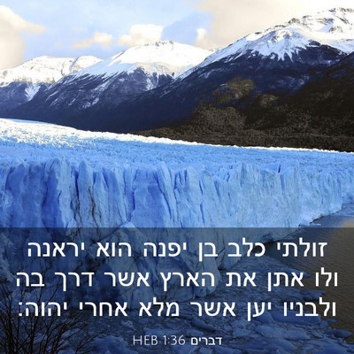 Picture 03 - דברים 1:36 HEB - זולתי כלב בן יפנה הוא יראנה - Bible Verse Picture