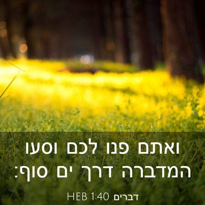 Picture 03 - דברים 1:40 HEB - ואתם פנו לכם וסעו המדברה - Bible Verse Picture