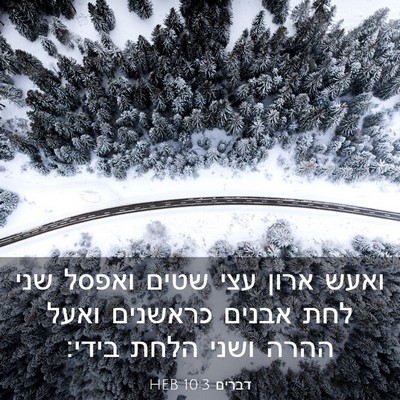 Picture 03 - דברים 10:3 HEB - ואעש ארון עצי שטים ואפסל - Bible Verse Picture