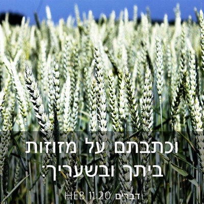 Picture 03 - דברים 11:20 HEB - וכתבתם על מזוזות ביתך - Bible Verse Picture