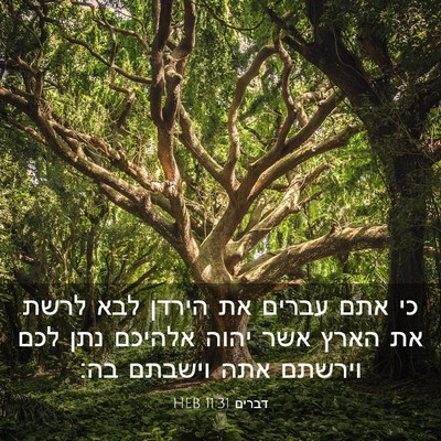 Picture 03 - דברים 11:31 HEB - כי אתם עברים את הירדן לבא - Bible Verse Picture