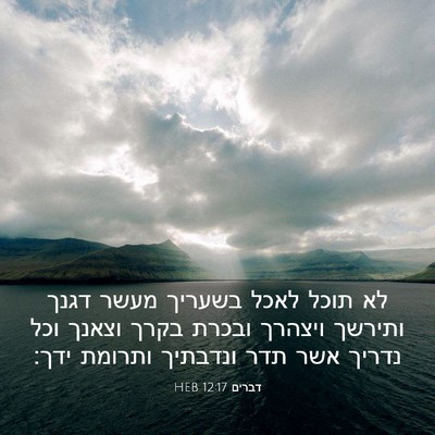 Picture 03 - דברים 12:17 HEB - לא תוכל לאכל בשעריך מעשר - Bible Verse Picture