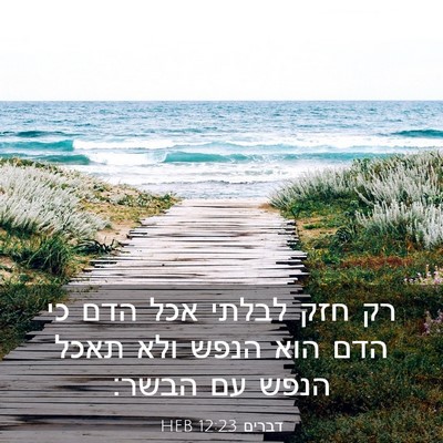 Picture 03 - דברים 12:23 HEB - רק חזק לבלתי אכל הדם כי הדם - Bible Verse Picture