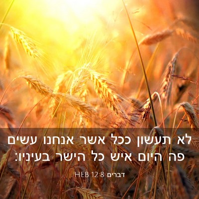 Picture 03 - דברים 12:8 HEB - לא תעשון ככל אשר אנחנו עשים - Bible Verse Picture