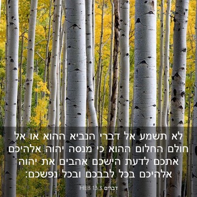 Picture 03 - דברים 13:3 HEB - לא תשמע אל דברי הנביא ההוא - Bible Verse Picture