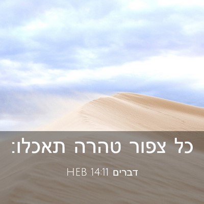 Picture 03 - דברים 14:11 HEB - כל צפור טהרה - Bible Verse Picture
