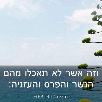 Picture 03 - דברים 14:12 HEB - וזה אשר לא תאכלו מהם הנשר - Bible Verse Picture
