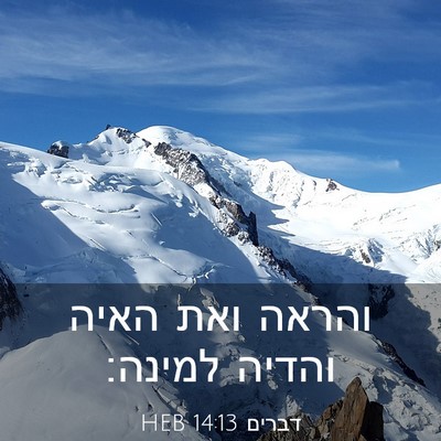 Picture 03 - דברים 14:13 HEB - והראה ואת האיה והדיה - Bible Verse Picture