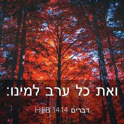 Picture 03 - דברים 14:14 HEB - ואת כל ערב - Bible Verse Picture
