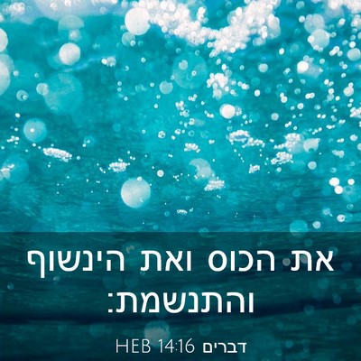 Picture 03 - דברים 14:16 HEB - את הכוס ואת הינשוף - Bible Verse Picture