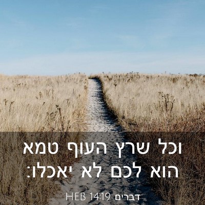 Picture 03 - דברים 14:19 HEB - וכל שרץ העוף טמא הוא לכם לא - Bible Verse Picture