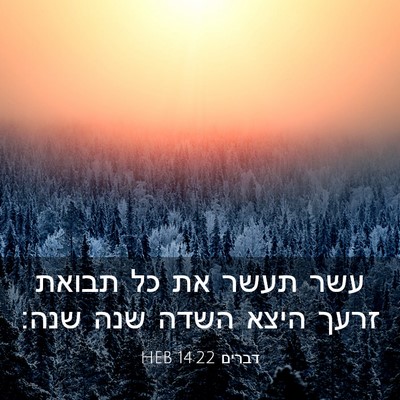 Picture 03 - דברים 14:22 HEB - עשר תעשר את כל תבואת זרעך - Bible Verse Picture