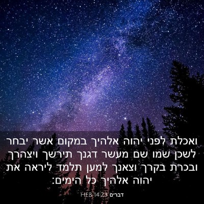 Picture 03 - דברים 14:23 HEB - ואכלת לפני יהוה אלהיך - Bible Verse Picture
