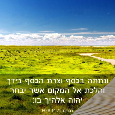 Picture 03 - דברים 14:25 HEB - ונתתה בכסף וצרת הכסף בידך - Bible Verse Picture