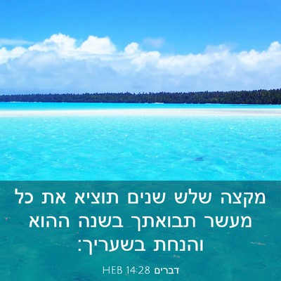 Picture 03 - דברים 14:28 HEB - מקצה שלש שנים תוציא את כל - Bible Verse Picture