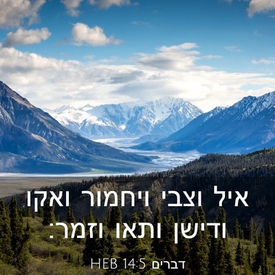 Picture 03 - דברים 14:5 HEB - איל וצבי ויחמור ואקו ודישן - Bible Verse Picture